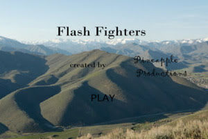 Flash Fighters